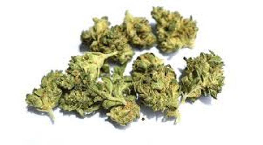  Find a Dispensary Near Me Offering Fast Pickup and Trusted Products
