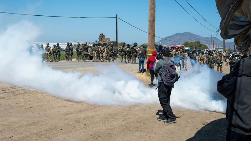  Immigration operation at California cannabis farms leads to clash between federal agents and protesters (Fox News)