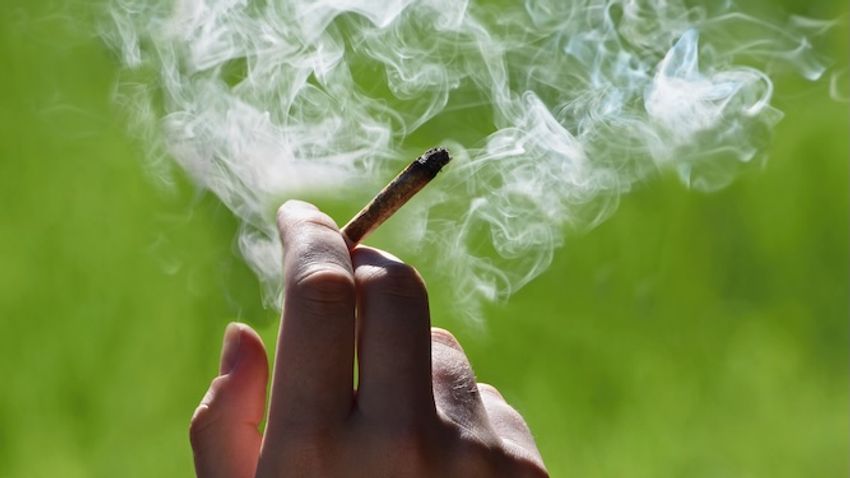 Smell of cannabis makes me feel unsafe, says wuss