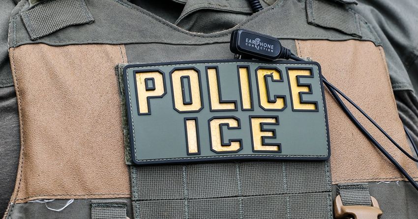  ICE faces off with protesters at Southern California cannabis grow farm