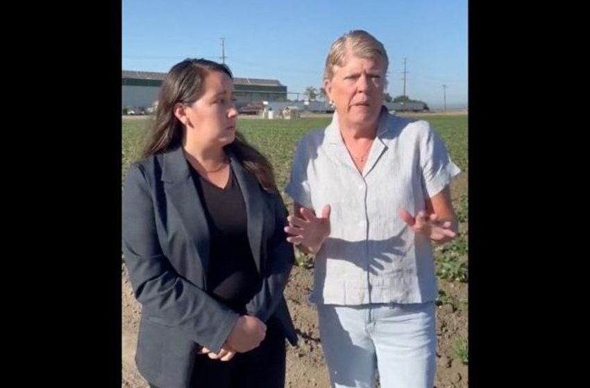 Dems Outraged Over Lawful ICE Raid, Silent on Child Labor at Illegal Weed Farm