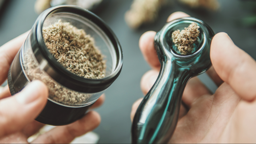 Cannabis Legalization Is a Public Health Necessity