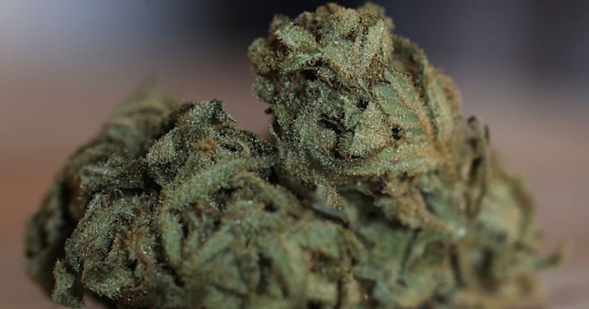  Kennesaw City Council advances marijuana decriminalization for 1 oz possession, vote was split