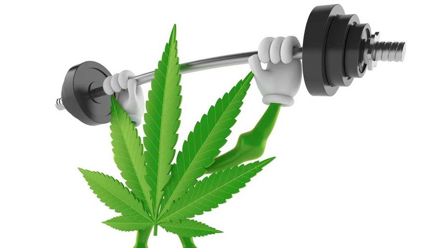 Puff and buff: Does weed help you work out? – Arkansas Times