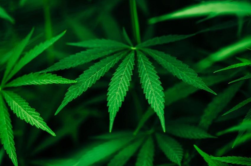 Pennsylvania Lawmakers File Recreational Cannabis Legalization Bills