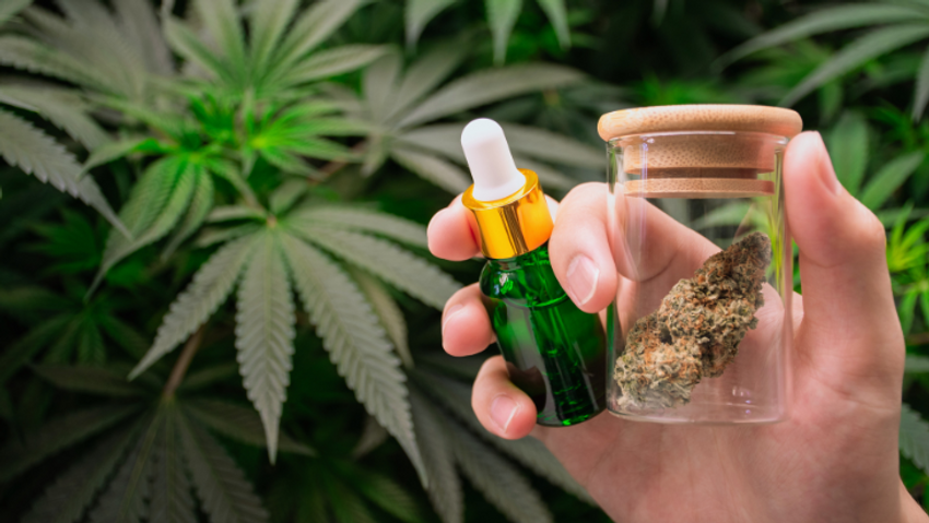 Nebraska: Omaha Tribe Approves Marijuana Legalization on Reservation Lands