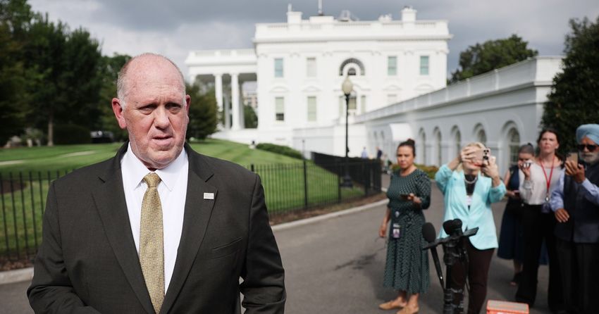 ICE detentions are an affront to the Fourth Amendment. Tom Homan doesn’t seem to care.