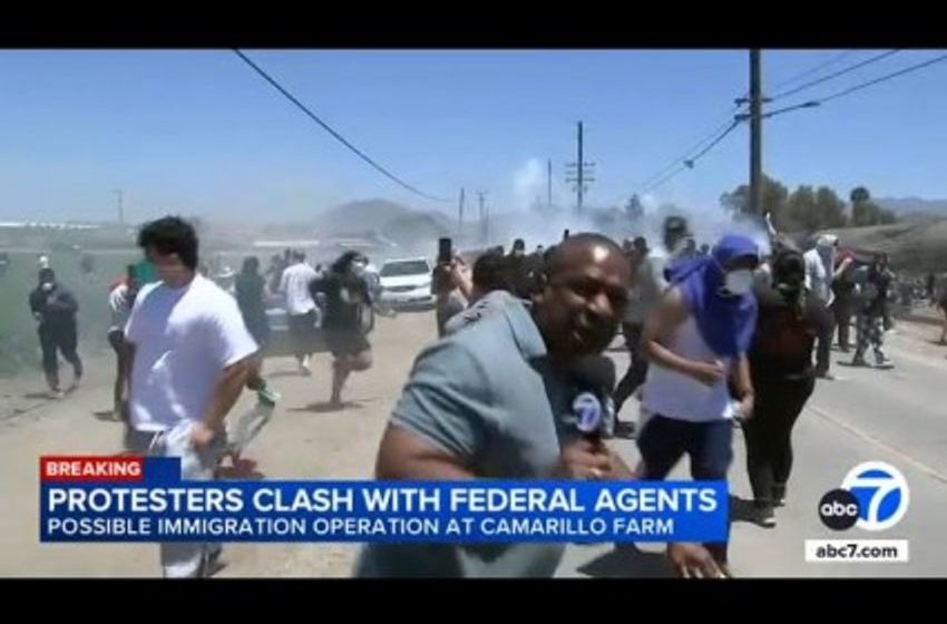 ‘They Took My Mom!’ Massive ICE Raids At Farms In Camarillo