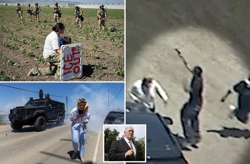 Tom Homan rips violent clash at California pot farm as proof ICE protests will turn deadly, blames Dems’ ‘Nazi’ rhetoric