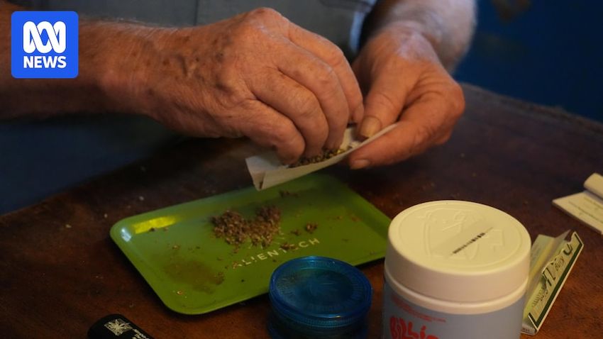 AHPRA takes action against more than 50 practitioners in medicinal cannabis crackdown