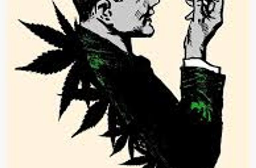  Politics and Pot