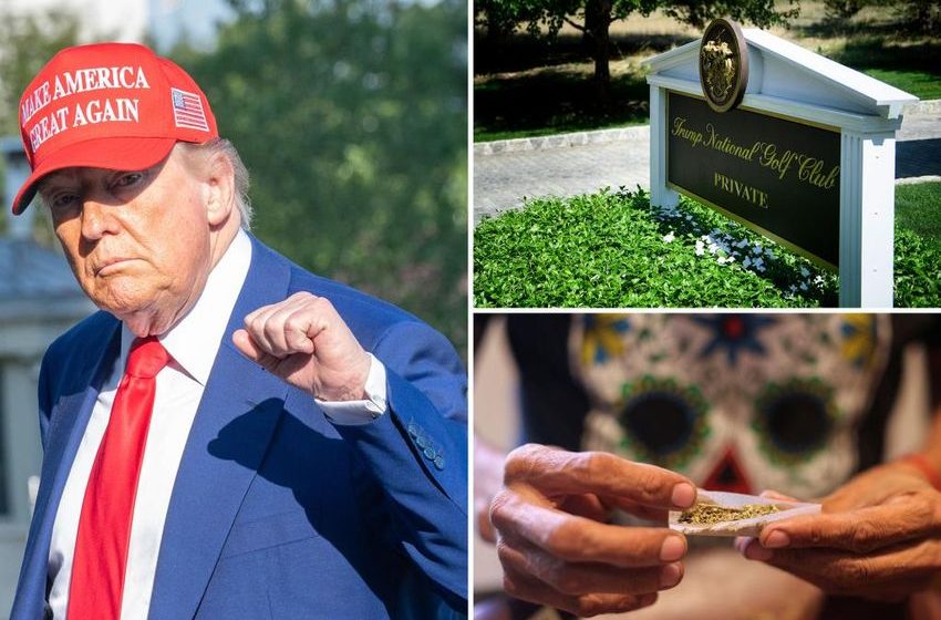 Trump eyes reclassifying marijuana as less dangerous drug: report