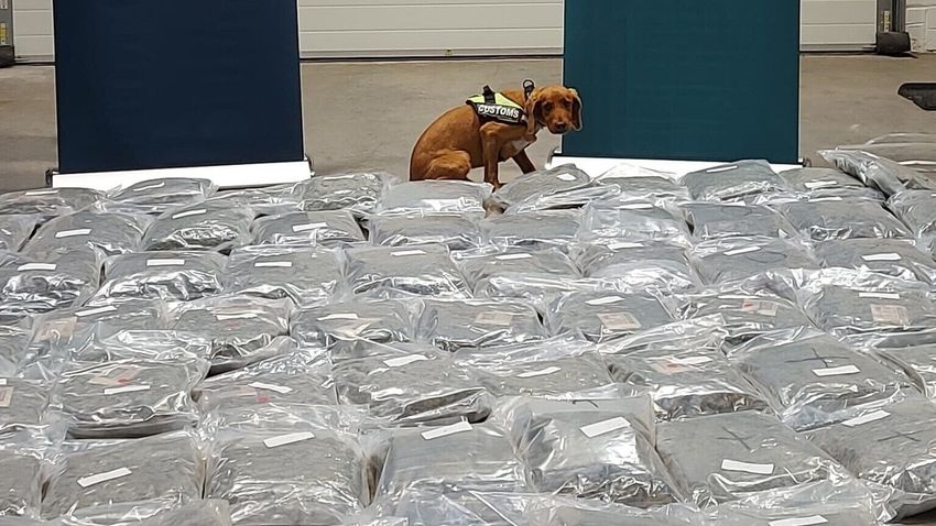  Man, 59, charged in connection with €2m cannabis seizure
