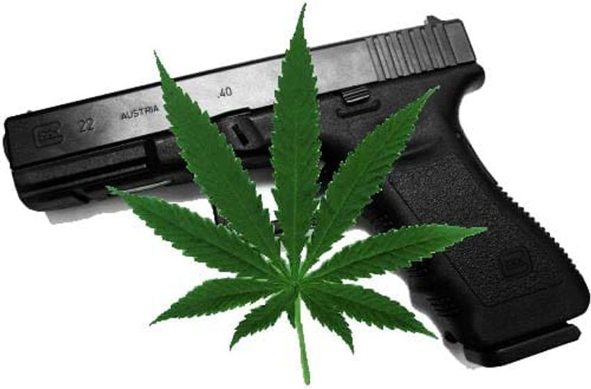  11th Circuit Rules For Florida Medical Marijuana Users In Gun Ban Challenge