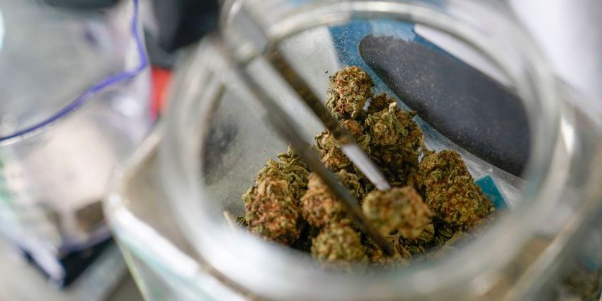 Trump Weighs Reclassifying Marijuana as Less Dangerous Drug (Josh Dawsey/Wall Street Journal)