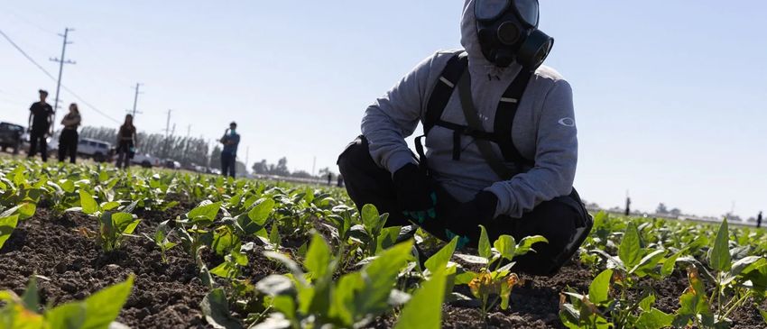  NIFORATOS: Trump Flirts With Disaster As He Mulls Over Going Soft On Pot
