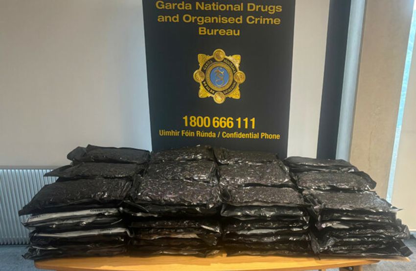  Two men arrested after €1.1 million worth of drugs seized in Dublin