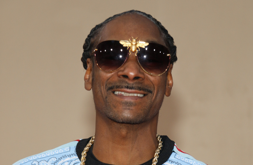  Snoop Dogg’s smoke inspired art shakes up the auction block