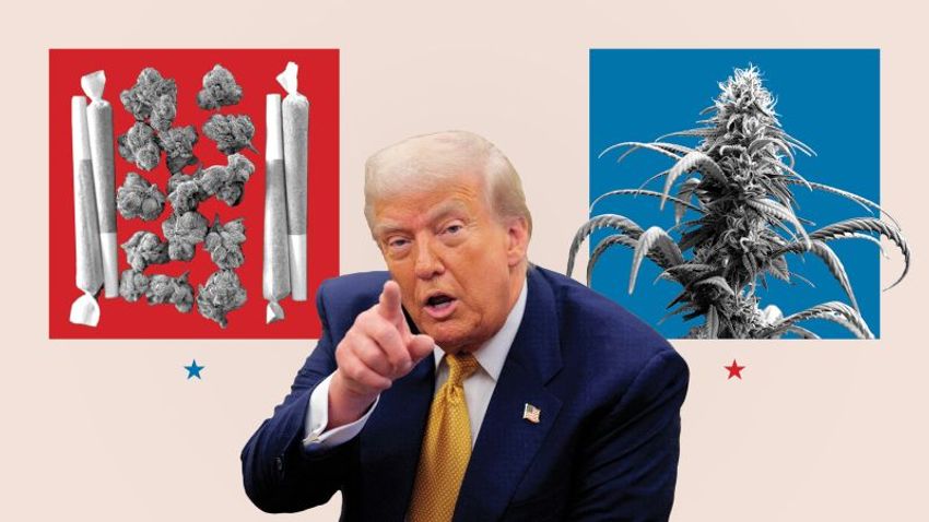  Trump is privately mulling how to declare pot a less dangerous drug | CNN Politics