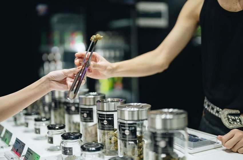 7 Sweet Fruity Cannabis Strains To Savor