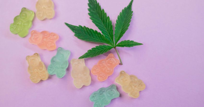 When Cannabis Culture Collides With Brain Science
