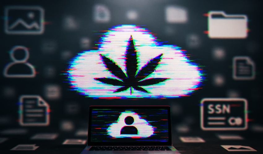  Nearly 1M SSNs and Health Records Exposed in Marijuana Patient Database