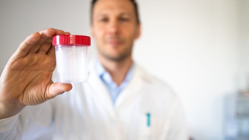 What Tech Jobs Don’t Drug Test? That Might Depend