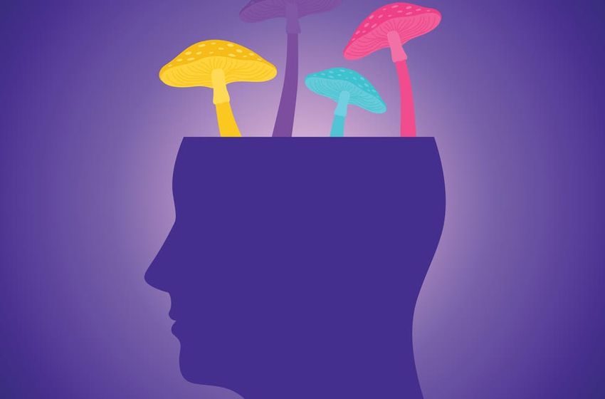 A Regulated Trip: What New Mexico’s Psilocybin Law Means For Work