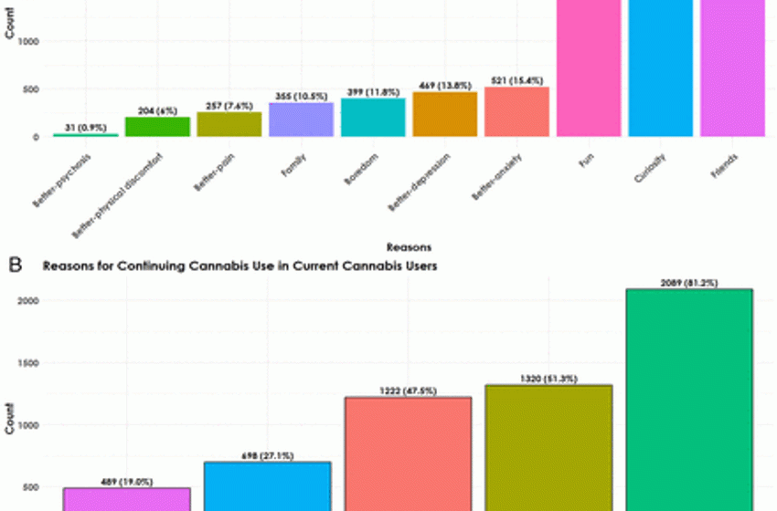Are reasons for first using cannabis associated with subsequent cannabis consumption (standard THC units) and psychopathology?