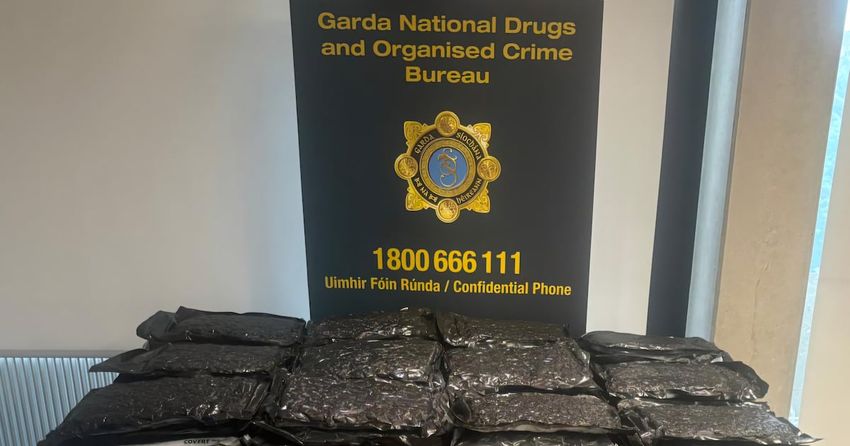  Two arrested after drugs valued at €1.1 million seized in Tallaght