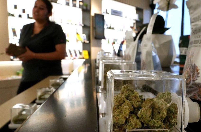 Inflation? Not in the cannabis market. Here’s why weed is so cheap.