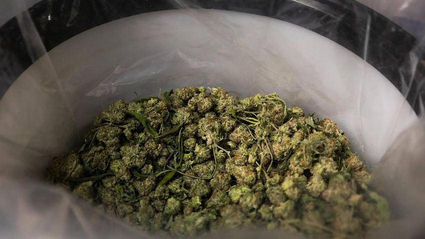 Trump says his administration looking at reclassifying marijuana