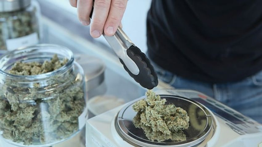  Alberta cannabis store workers no longer required to submit criminal background checks