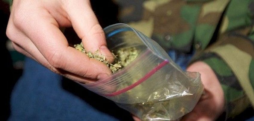 Trump’s shaky trial balloon on cannabis