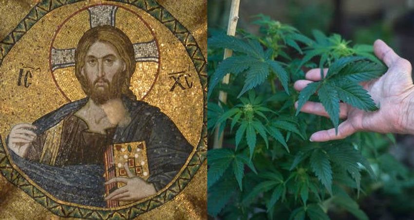  Experts Believe That Jesus May Have Used Cannabis Oil To Perform His Miracles