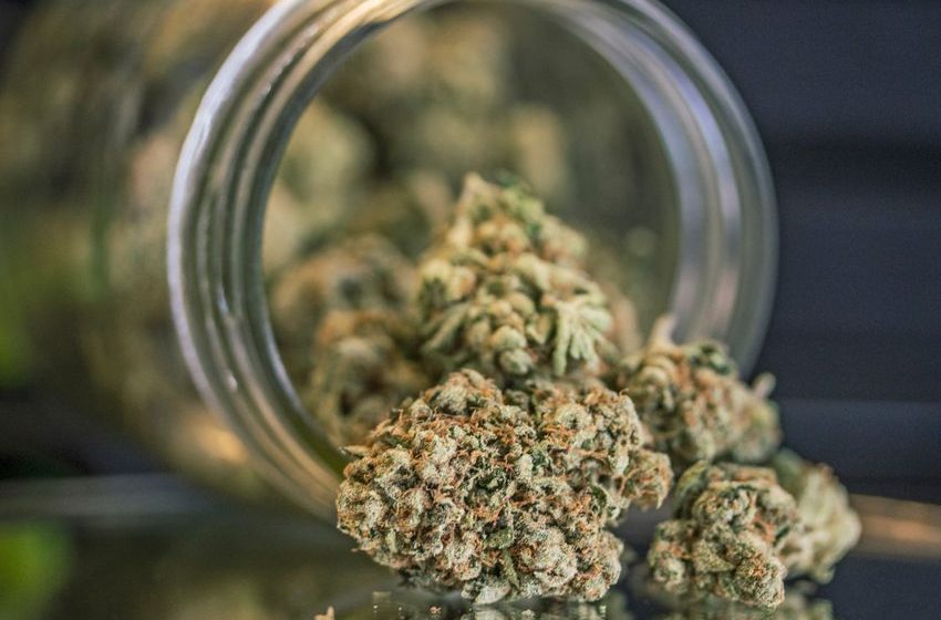  1) Temporarily reducing the tax from 19% to 15% isn’t giving California’s cannabis market CPR. 2) The state’s legal market doesn’t need CPR, it needs Herbert West [Obvious]