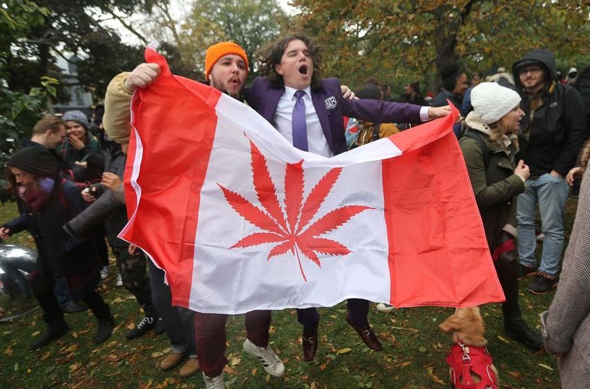Case Studies In International Cannabis: What The World Can Teach Us
