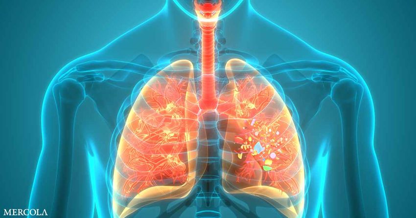 Microplastics Found to Trigger Cancer-Linked Changes in Lung Cells