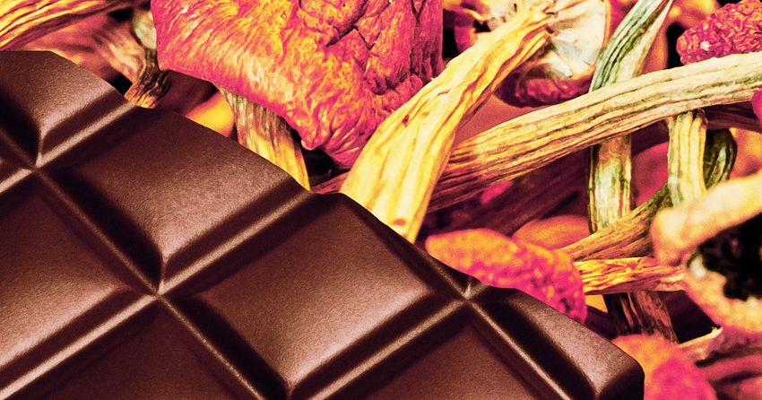  Scientists Tested What’s Really in “Psilocybin” Chocolate and Found Something Alarming