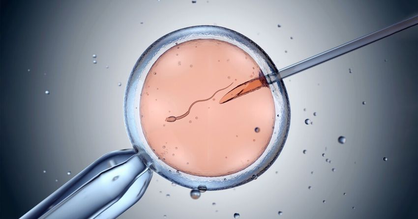 Cannabis use linked to abnormal embryos and reduced IVF success