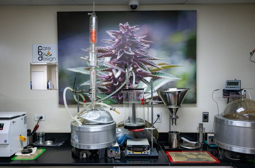  Newsom Signs Bill Decreasing Cannabis Tax, Which Could Boost Struggling Industry