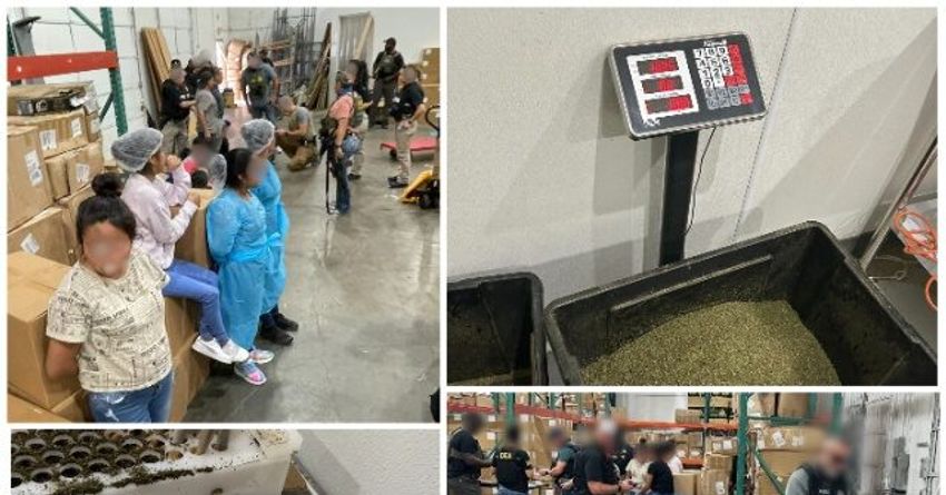 18 Illegal Aliens Arrested in Texas Marijuana Warehouse