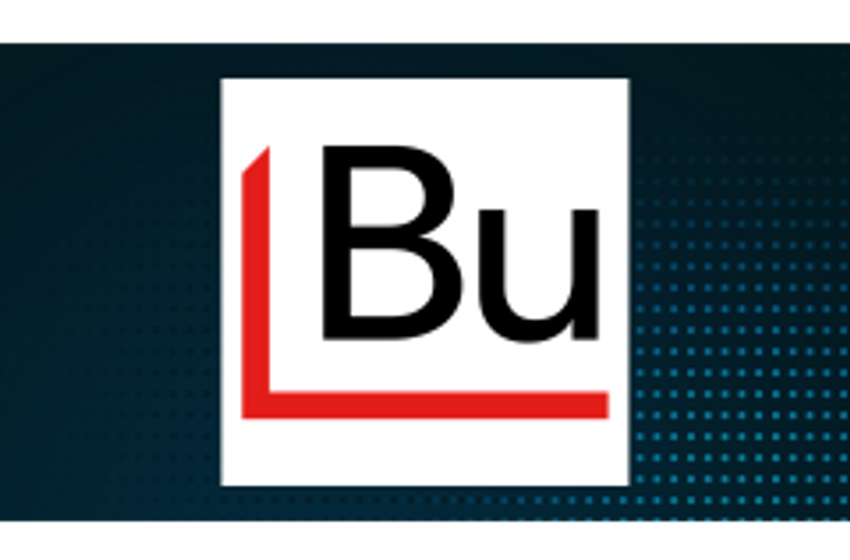 Comparing Himalaya Technologies (OTCMKTS:HMLA) & Burford Capital (NYSE:BUR)