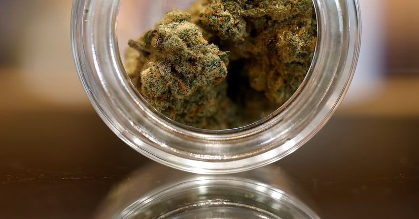 Clayton County commissioners approve marijuana ordinance