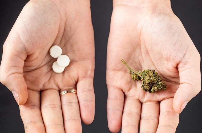 Non-Opioid Painkillers Have Struggled–Cannabis Drugs Might Be The Solution
