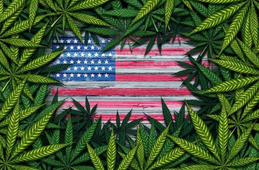 Where Is Cannabis Legal? A Guide To All 50 States