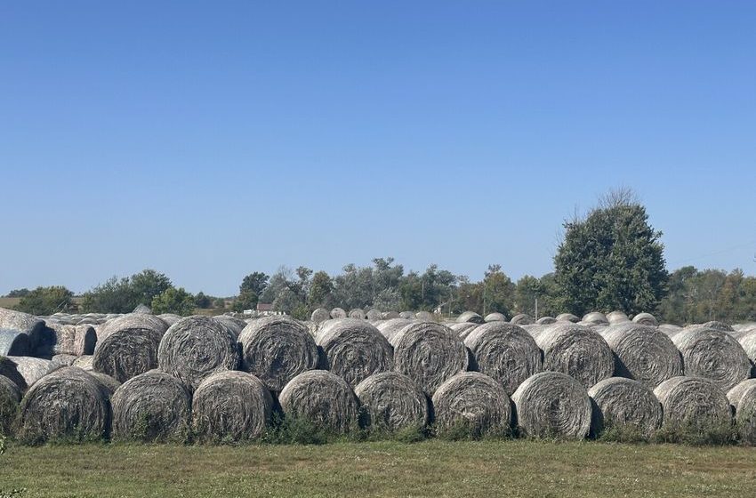  Hemp producers and processors concerned about possible added regulations in new farm bill