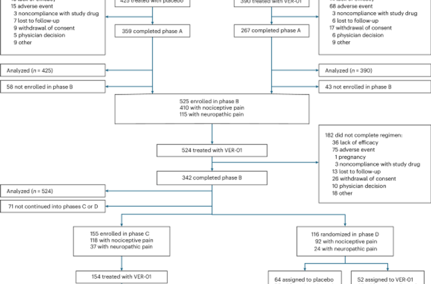  Full-spectrum extract from Cannabis sativa DKJ127 for chronic low back pain: a phase 3 randomized placebo-controlled trial