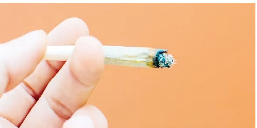  Marijuana and my health