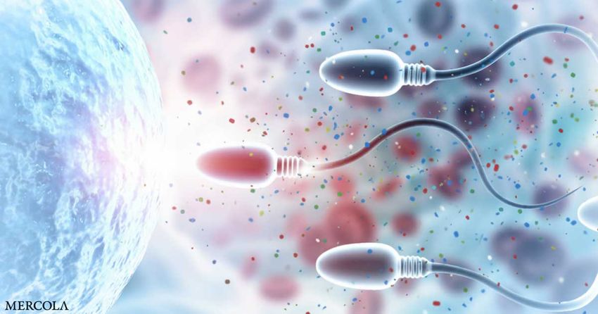  Study Finds Widespread Microplastics in Reproductive Fluids, What It Means for Fertility